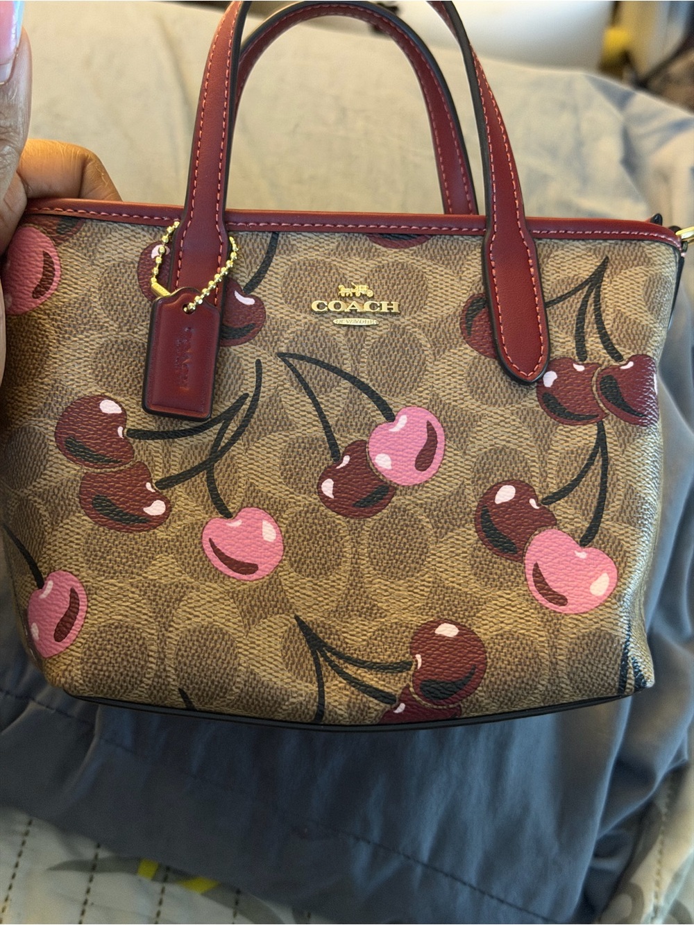 Coach Cherry Print Mini Satchel in Pink and Brown